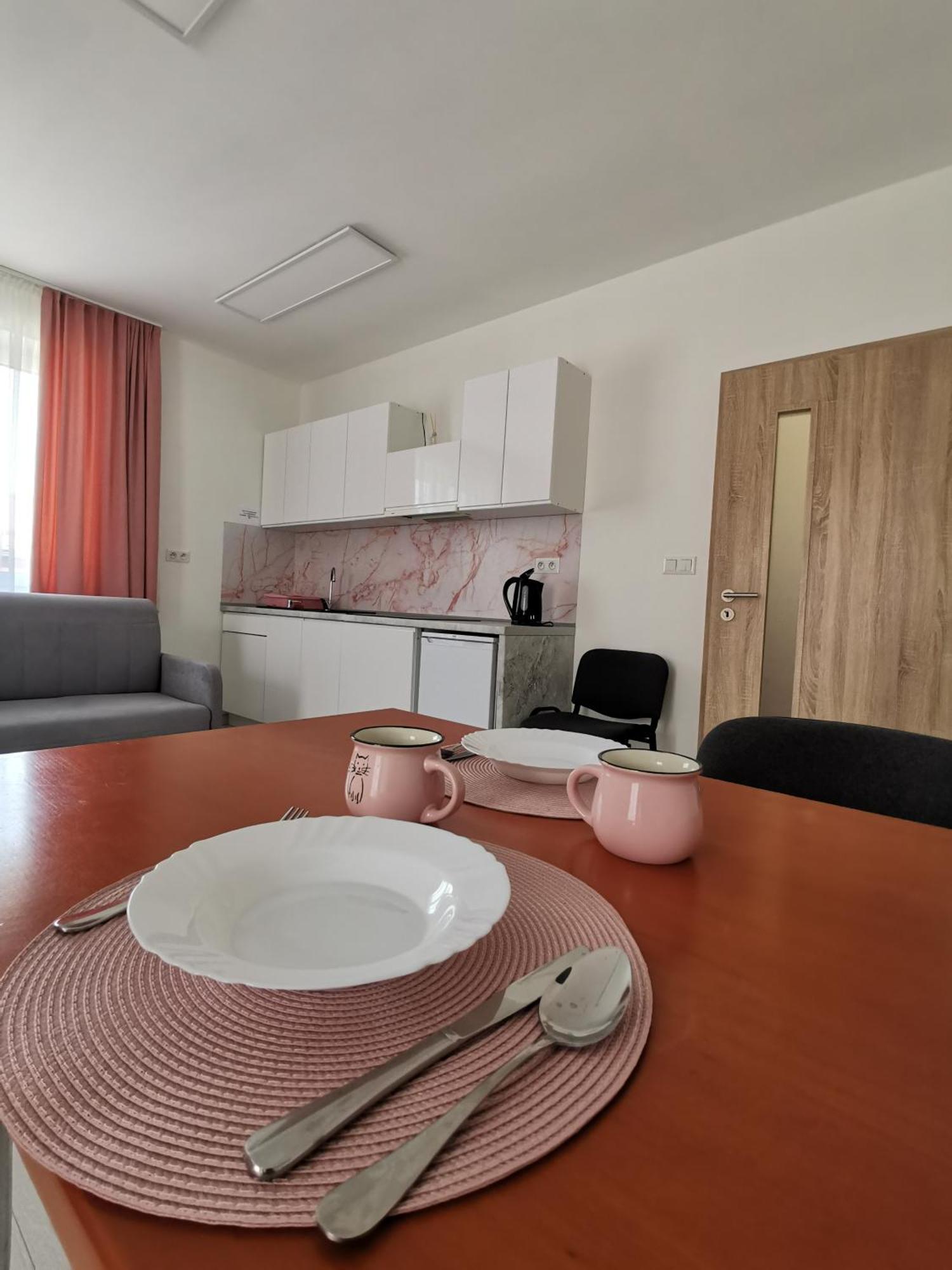 Comenius Apartments - Apartmany Na Rohu Svidnik Dış mekan fotoğraf